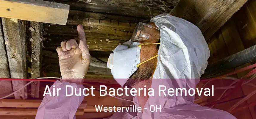  Air Duct Bacteria Removal Westerville - OH