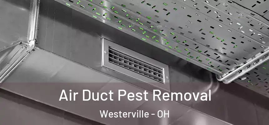  Air Duct Pest Removal Westerville - OH