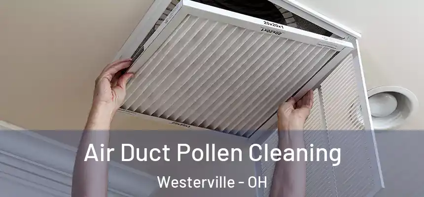  Air Duct Pollen Cleaning Westerville - OH