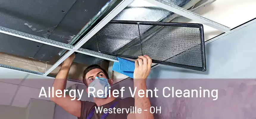  Allergy Relief Vent Cleaning Westerville - OH