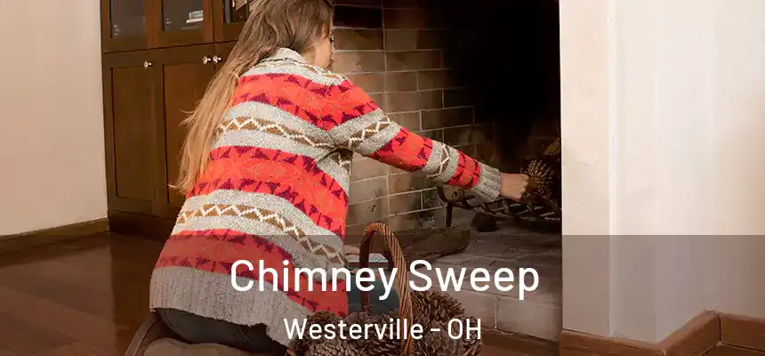  Chimney Sweep Westerville - OH
