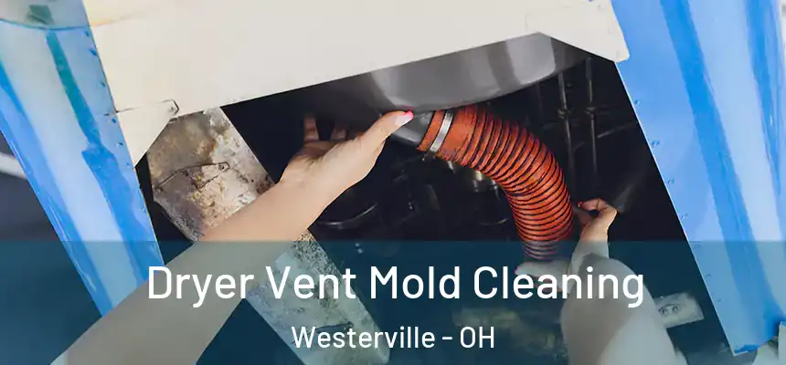  Dryer Vent Mold Cleaning Westerville - OH