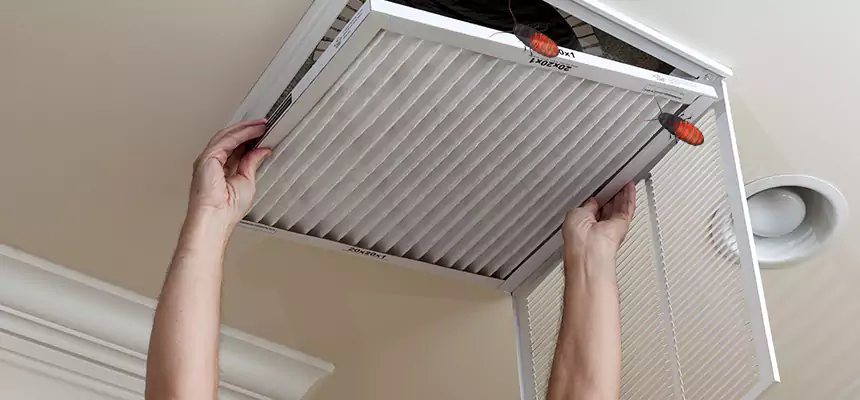 Preventive Cockroach-Proofing for Ducts in Westerville
