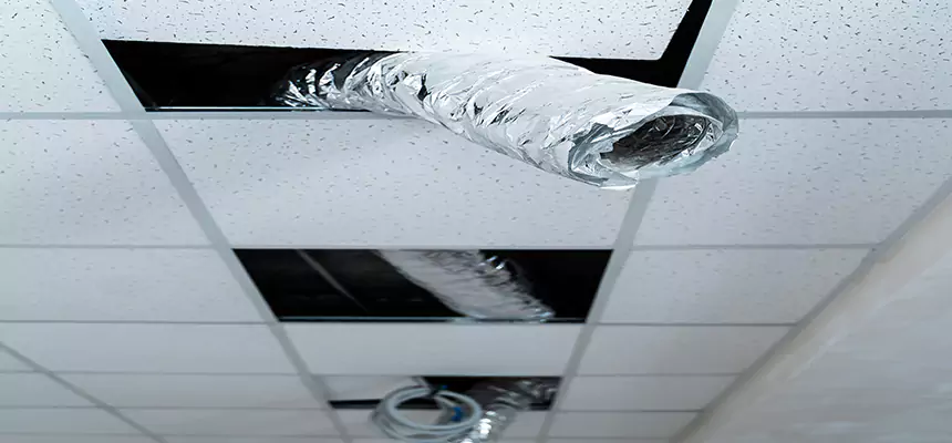 Our Air Duct Pet Hair Removal Services in Westerville, OH