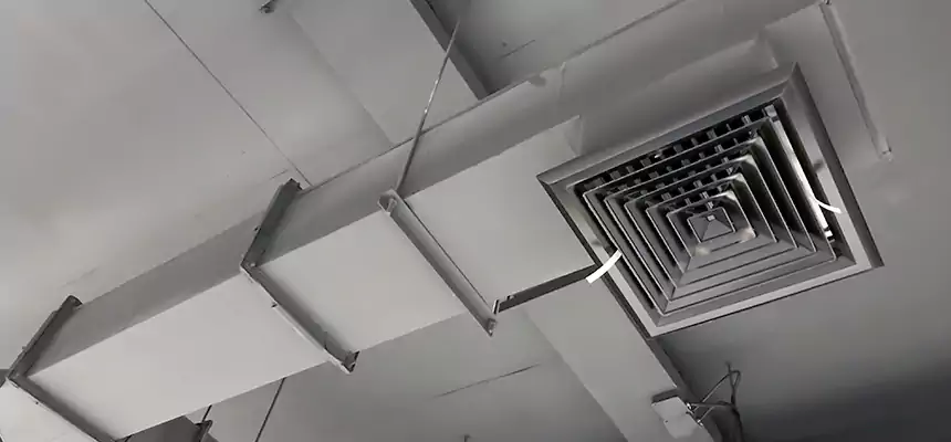 Our Rodent Droppings In Vents Services in Westerville, OH