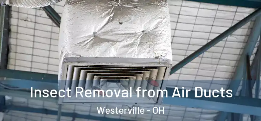 Insect Removal from Air Ducts Westerville - OH