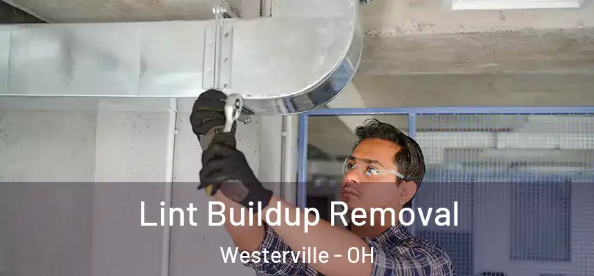 Lint Buildup Removal Westerville - OH