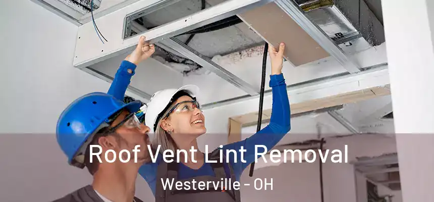  Roof Vent Lint Removal Westerville - OH