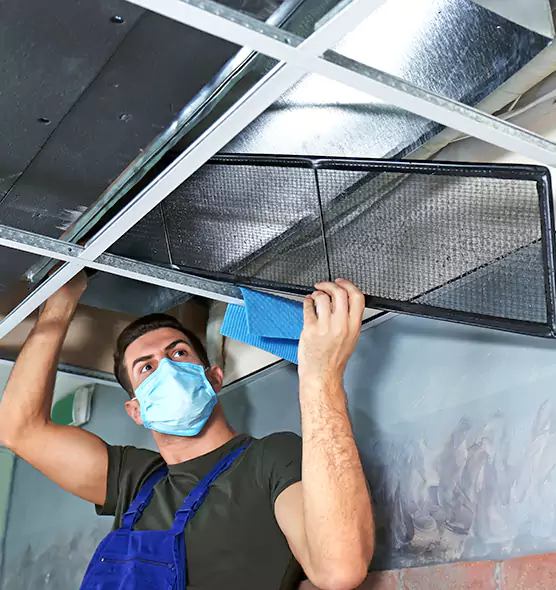 Professional Air Duct Pollen Cleaning in Westerville, OH