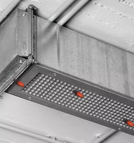 Affordable Insect Removal from Air Ducts in Westerville, OH