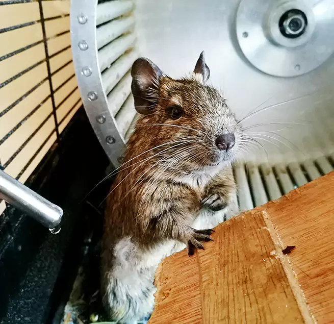 Why Homeowners & Businesses Trust Us Westerville, OH?